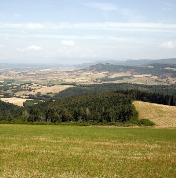 Causses Region Roquefort