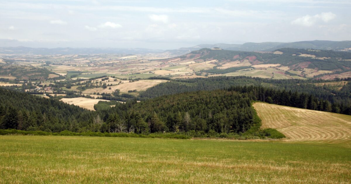 Causses cheese, Causses region cheeses | Sodiaal