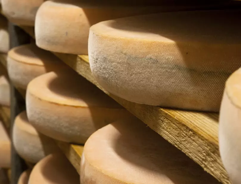 Maison Monts & Terroirs - Cheeses to savour with pleasure